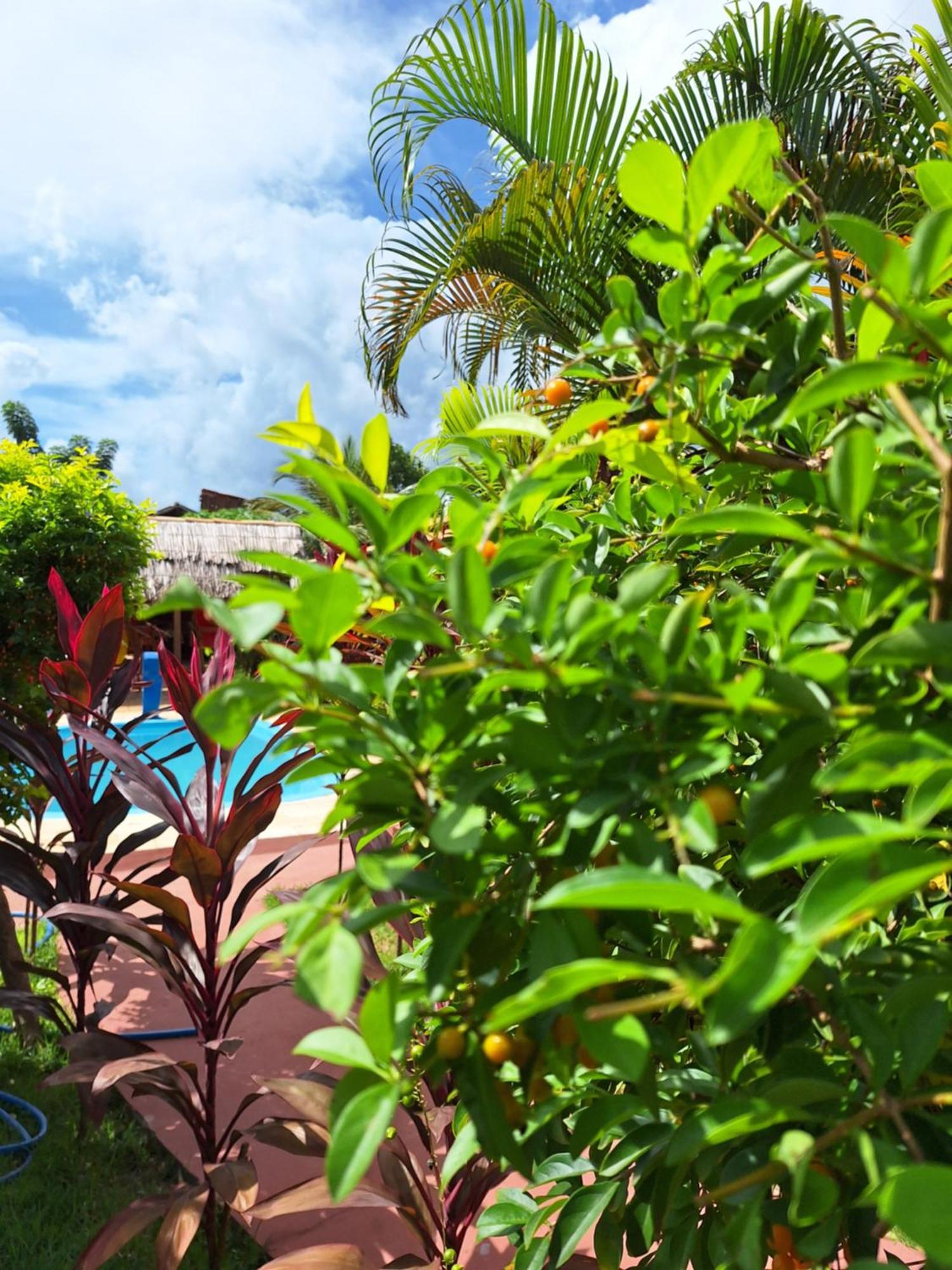 Pousada Brasil Sao Miguel do Gostoso Bagian luar foto