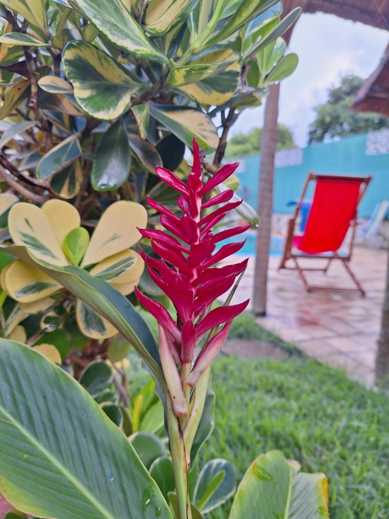 Pousada Brasil Sao Miguel do Gostoso Bagian luar foto